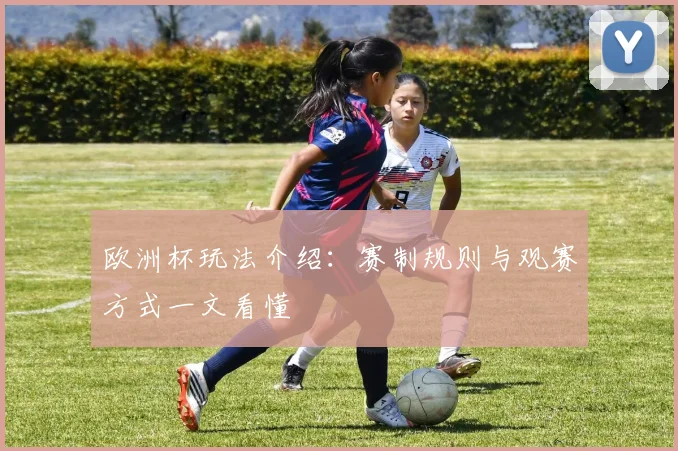 欧洲杯玩法介绍：赛制规则与观赛方式一文看懂