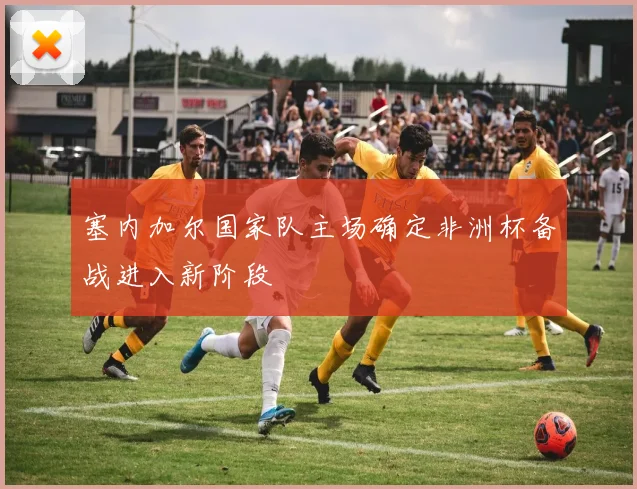 塞内加尔国家队主场确定非洲杯备战进入新阶段