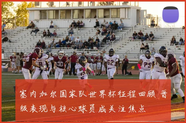 塞内加尔国家队世界杯征程回顾 晋级表现与核心球员成关注焦点